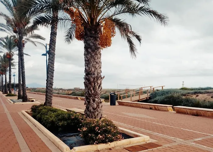 The Beach Across The Street